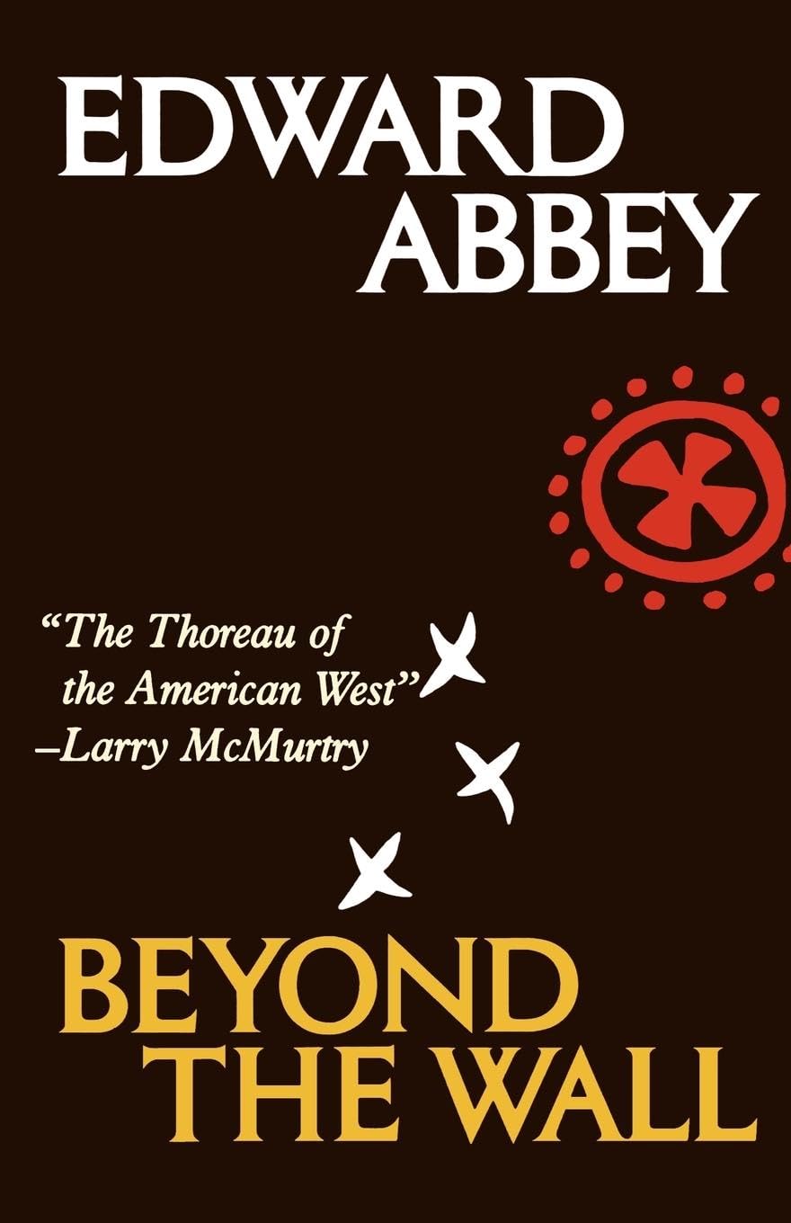 Beyond the Wall: Essays from the Outside - Thought-Provoking Literary Collection for Book Lovers & Critical Thinkers | Perfect for Book Clubs, Academic Discussions & Personal Reflection