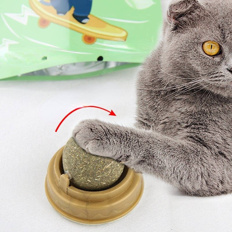 Organic Hypoallergenic Catnip Ball Toy for Cats - Fun Interactive Play & Stress Relief for Indoor Kitties