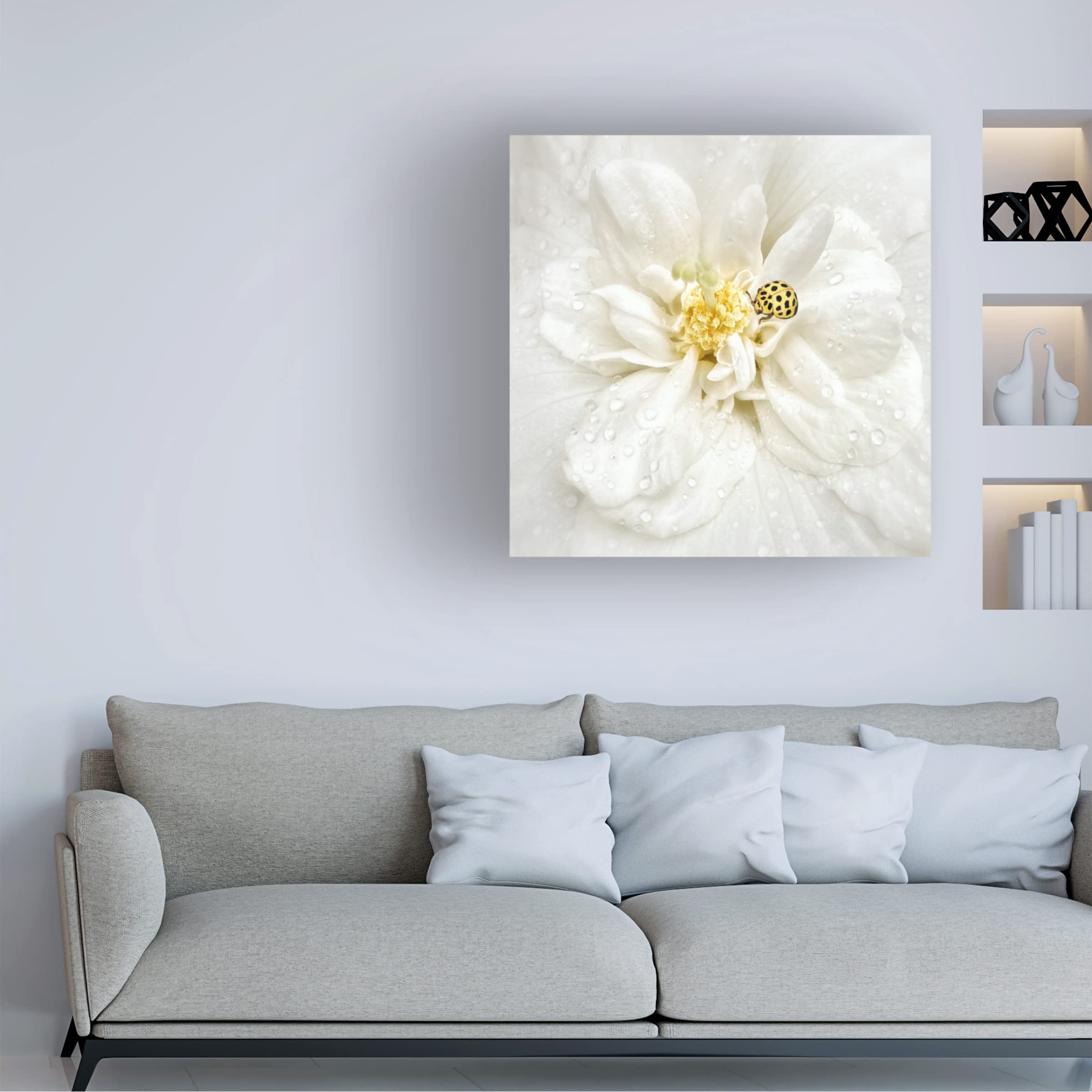 Trademark Fine Art 'Dewdrops Are The Gems Of Morning' Canvas Wall Art Print by Yvette Depaepe - Nature Photography Decor for Living Room, Bedroom & Office