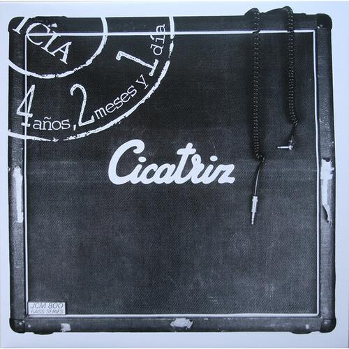 4 Years, 2 Months and 1 Day Vinyl LP Record - Perfect for Music Collectors & Vintage Vinyl Enthusiasts