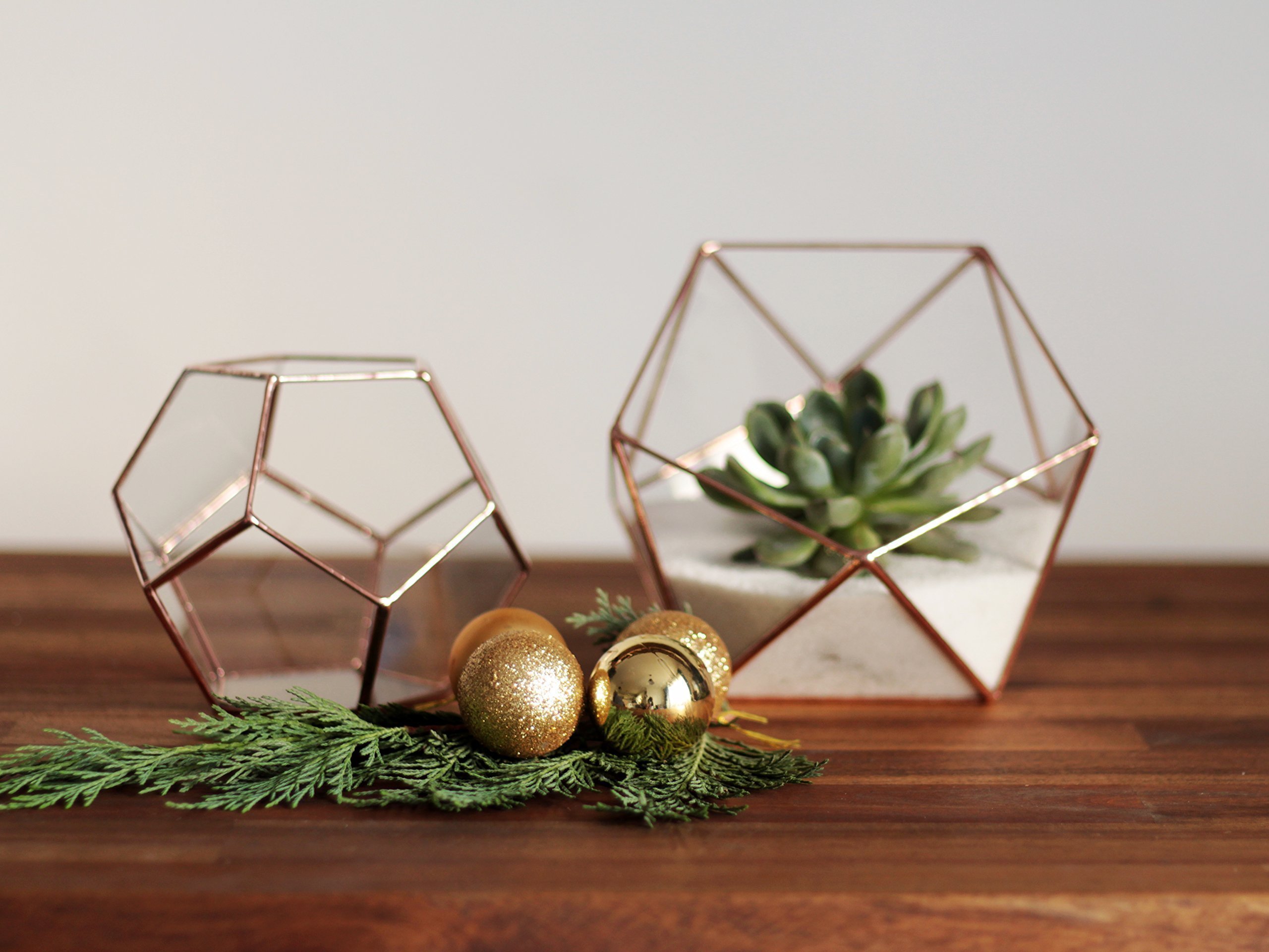 Clear Glass Geometric Terrarium Container - Modern Icosahedron Planter for Succulents & Air Plants | Home & Living Room Decor | Wedding Table Centerpiece & Reception Decor (Copper, Silver, Black) | Perfect for Indoor Plant Display, Office Desk Decor, and Gift Giving