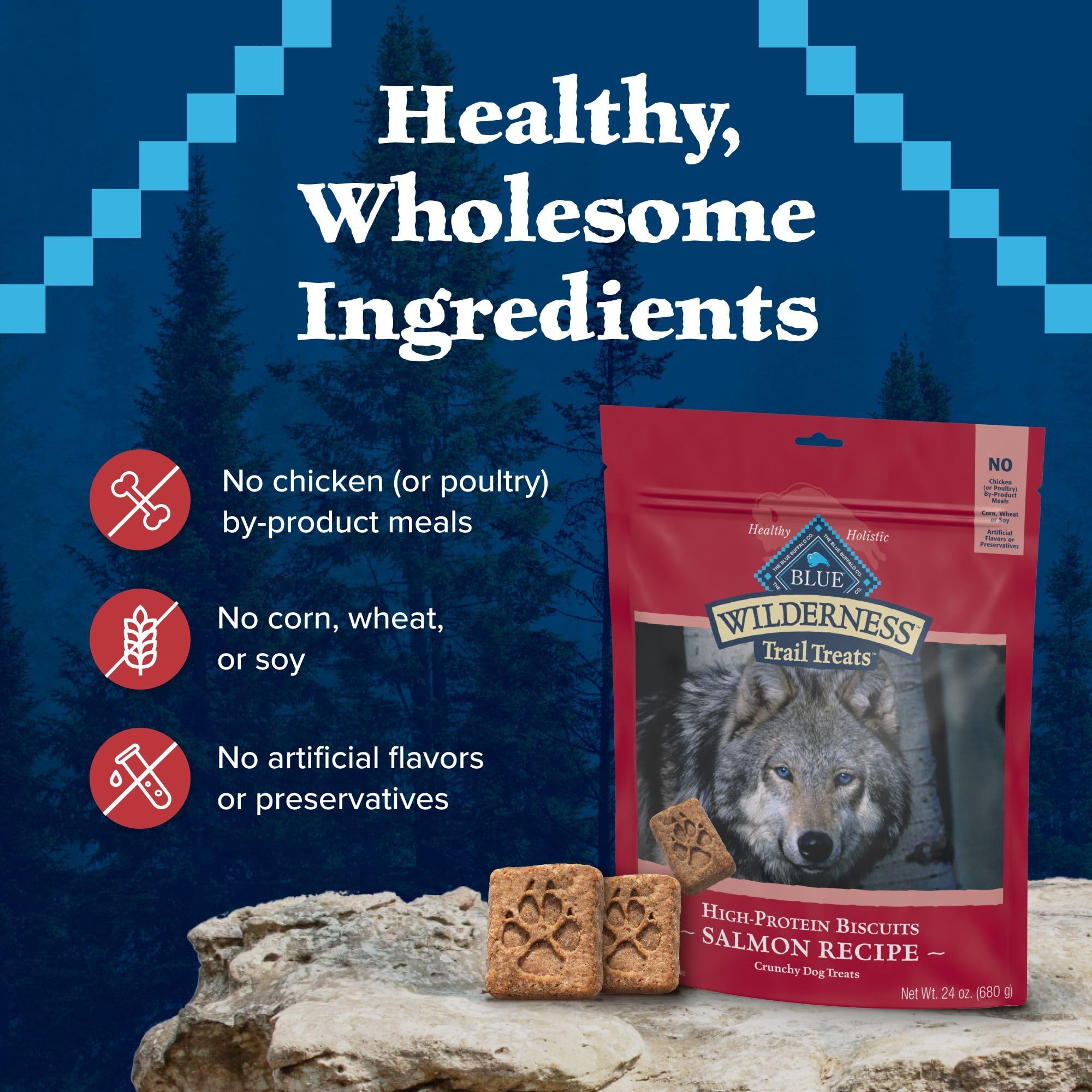 Blue Buffalo Wilderness Trail Treats Crunchy Grain-Free Dog Biscuits - High Protein Natural Salmon Recipe Dog Treats (24oz Bag) - Perfect for Training, Rewards & Outdoor Adventures