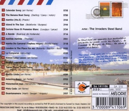 Premium Steel Bands Caraibes - Durable & Stylish Caribbean Steel Drums for Outdoor Parties, Beach Events & Tropical Performances