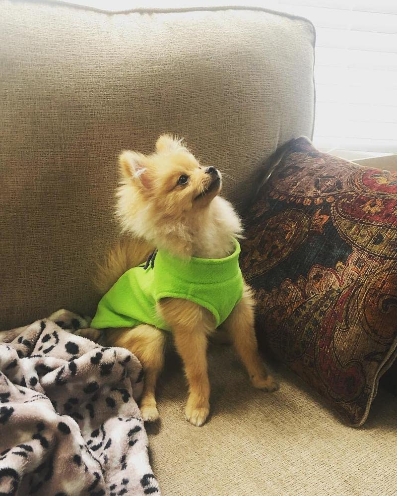 Gooby Fleece Vest Dog Sweater - Small Warm Pullover Fleece Jacket with O-Ring Leash for Small Dogs - Winter Dog Coat for Cold Weather - Perfect for Outdoor Walks & Indoor Comfort (Lime Green)