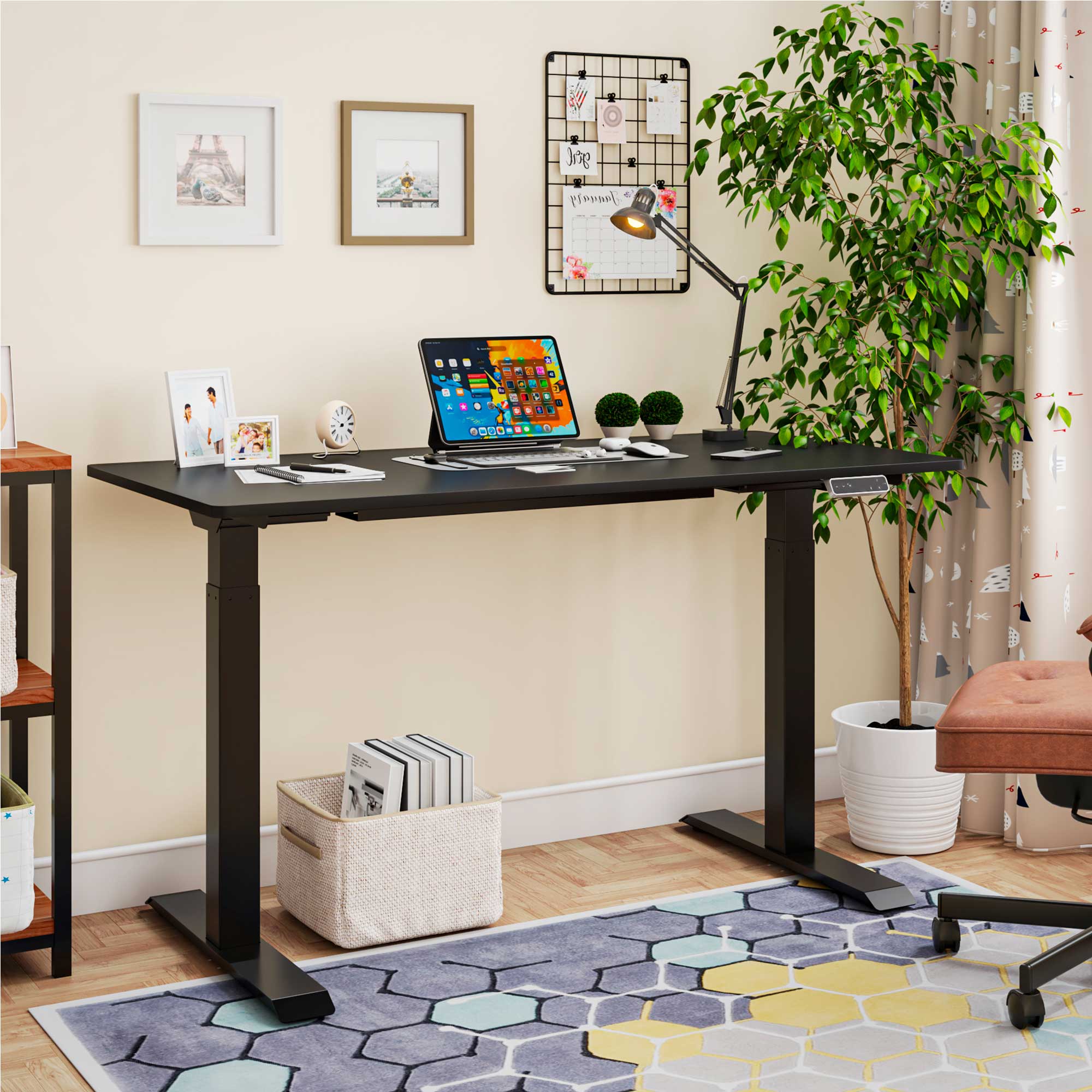 Ergonomic Black Electric Height Adjustable Standing Desk - 55