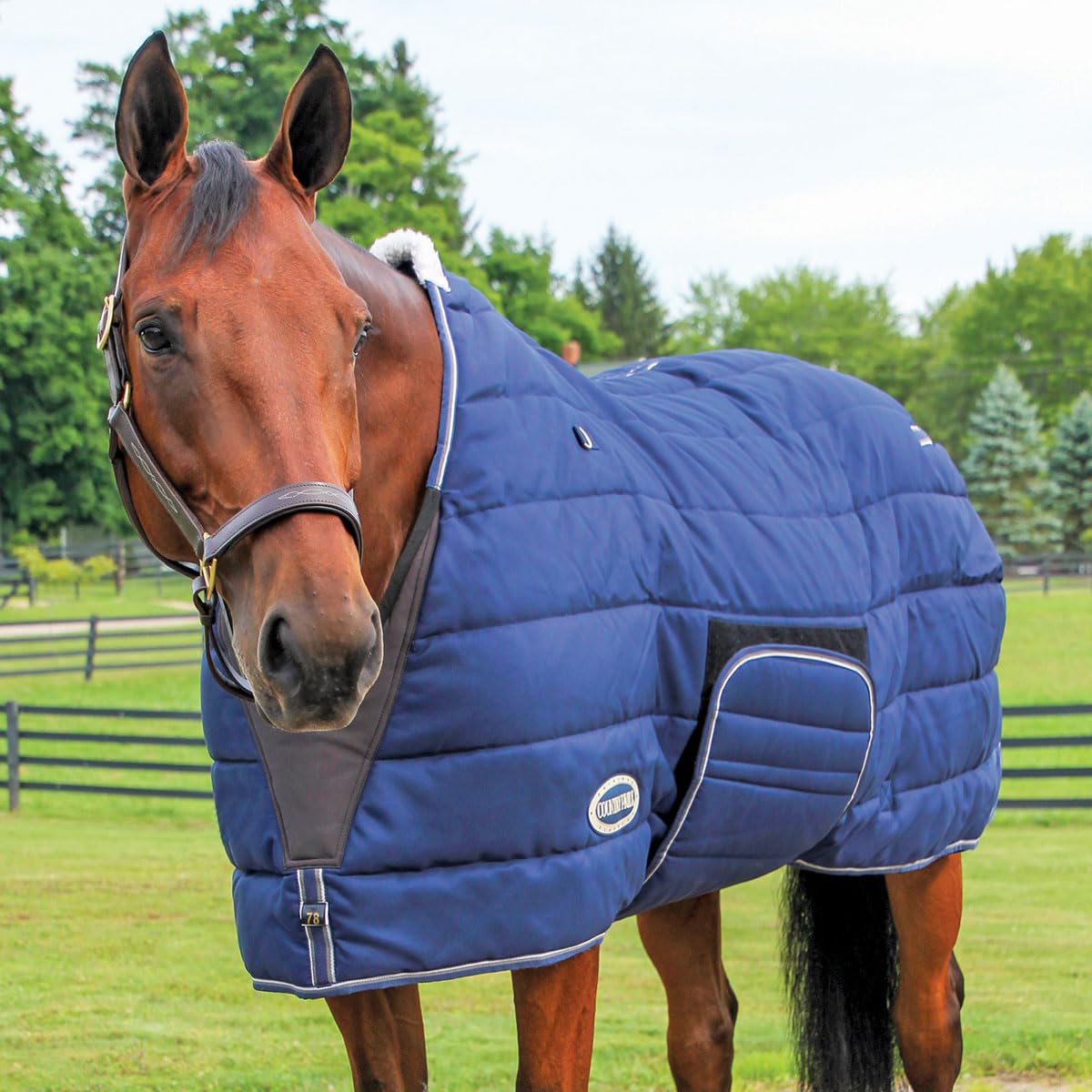 Country Pride Squall Ultra Heavyweight Stable Blanket for Horses - Navy Blue 90