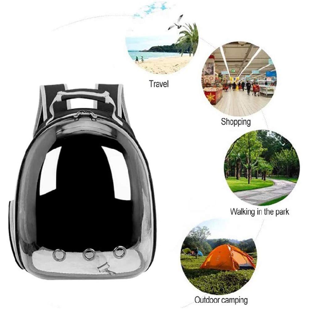 Cat Bubble Backpack Carrier - Airline Approved for Travel & Hiking