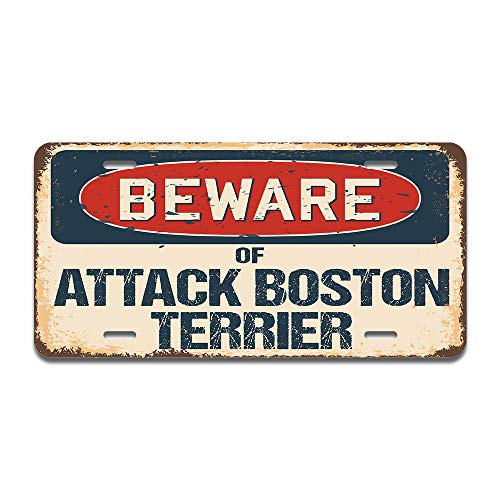 Beware of Attack Boston Terrier