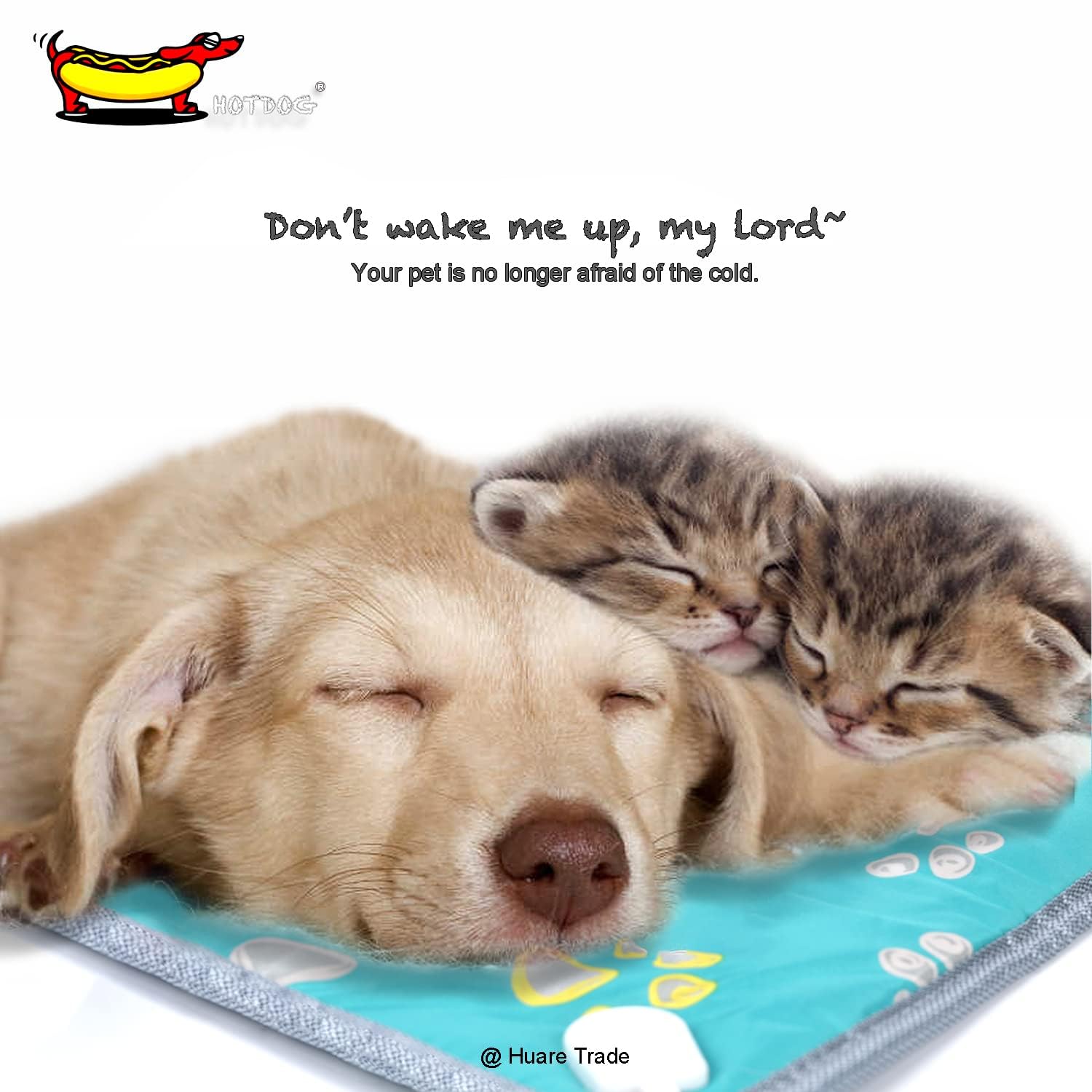 Waterproof Adjustable Temperature Pet Heating Pad - 21.7''x17.7'' Green Heated Dog Bed & Cat Mat with Chew-Resistant Cord | Indoor Winter Warmth for Arthritic Pets & Outdoor Kennel Comfort