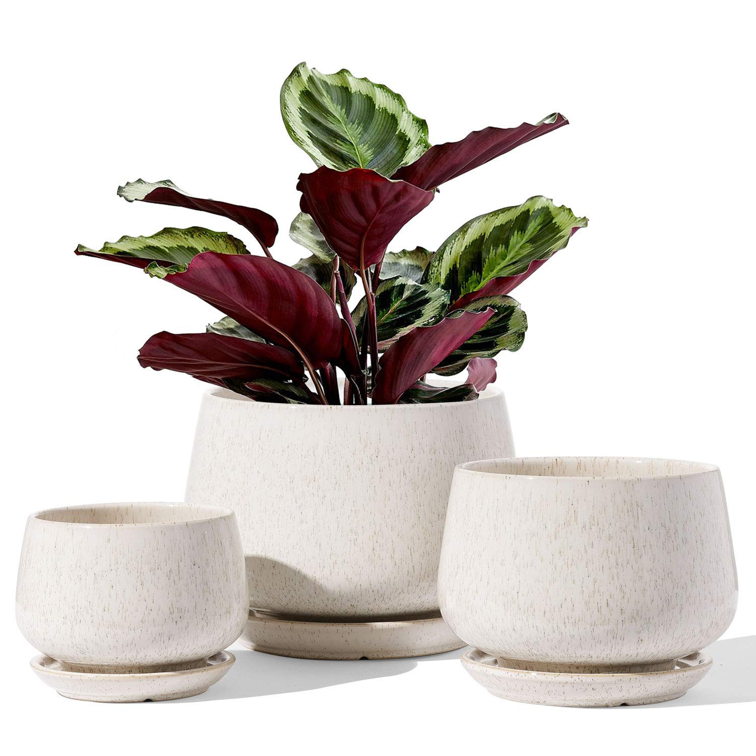 LE TAUCI Ceramic Plant Pots Set of 3 (4.1/5.1/6.5 inch) with Drainage Holes & Saucers - Indoor Flower Planters with Mesh Pads, Reactive Glaze Beige - Perfect for Home Decor, Gardening Gifts for Mom, Housewarming & Office Plants
