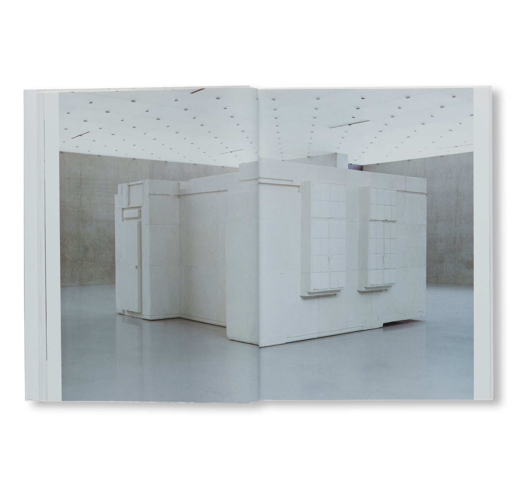 Rachel Whiteread Art Book (2005) - Modern Sculpture Monograph | Perfect for Art Collectors, Students & Contemporary Art Enthusiasts