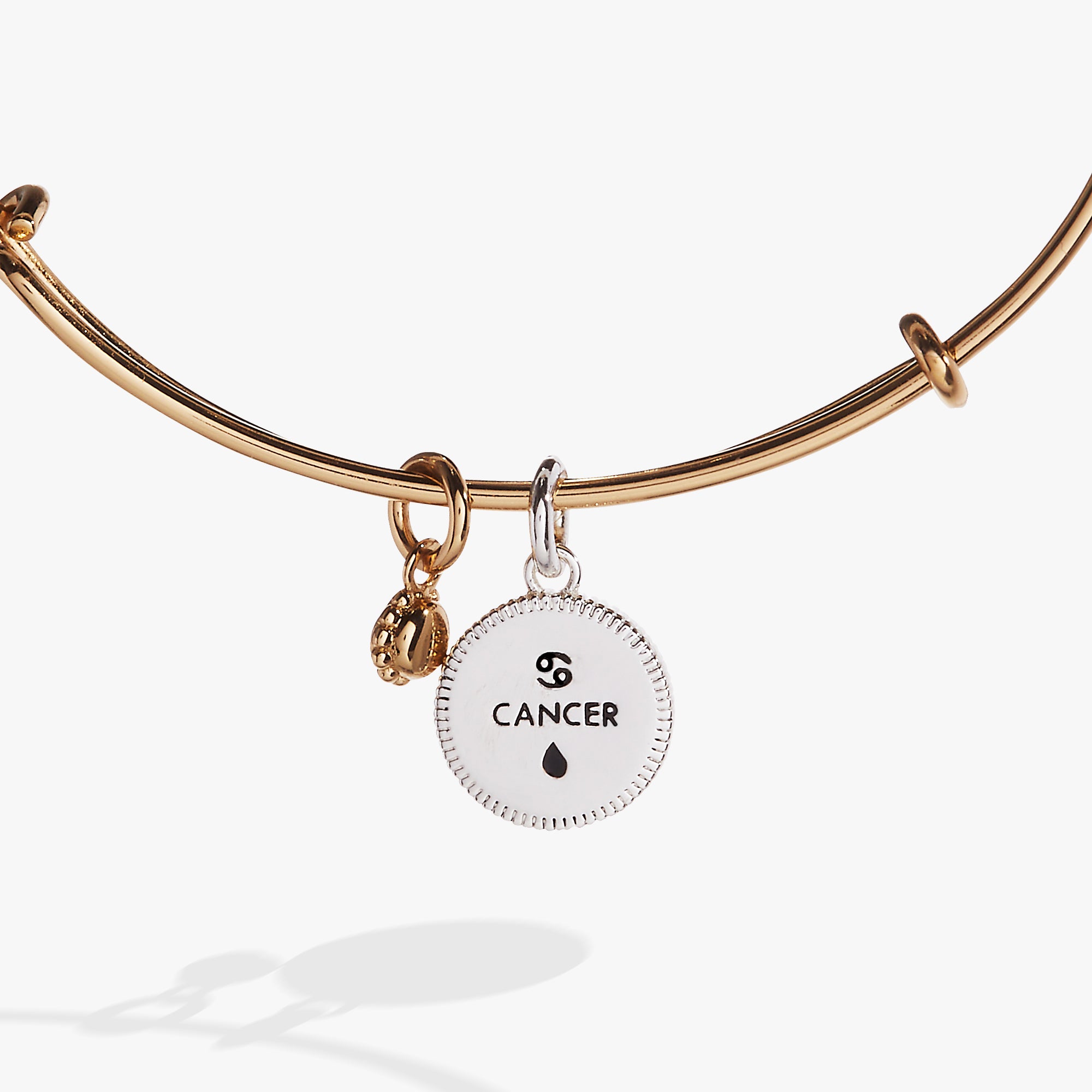 Cancer Zodiac Charm Bangle - Sterling Silver Zodiac Sign Bracelet for Women - Perfect for Birthdays, Gifts & Spiritual Jewelry Collection