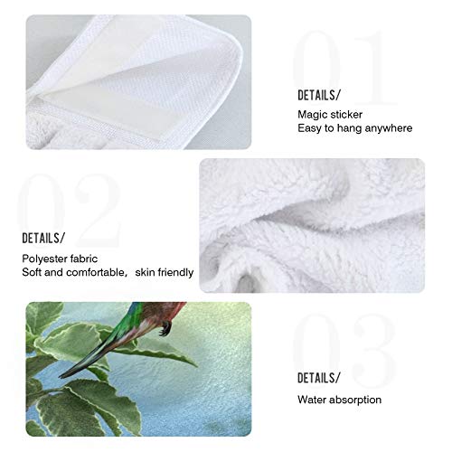 Hummingbird Hand Towels 2-Pack - Spring Floral Kitchen & Bathroom Towels, 12