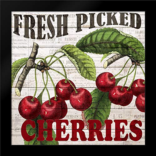 Ann Bailey 20x20 Black Modern Framed Art Print - Fresh Picked Cherries Wall Decor for Living Room, Bedroom & Office