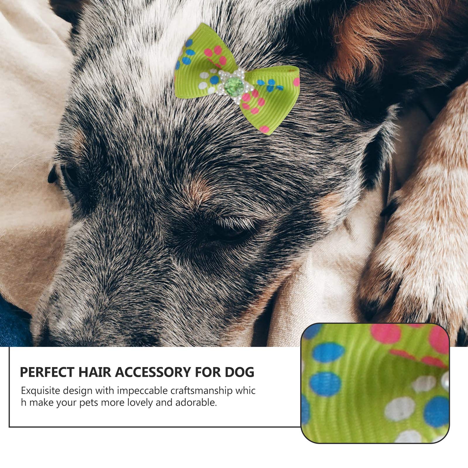 20pcs Pet Hair Bowknots with Rubber Band - Cute Dog Hair Bows for Small & Medium Dogs - Perfect for Grooming, Pet Parties & Photo Shoots
