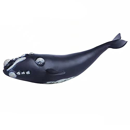 Right Whale