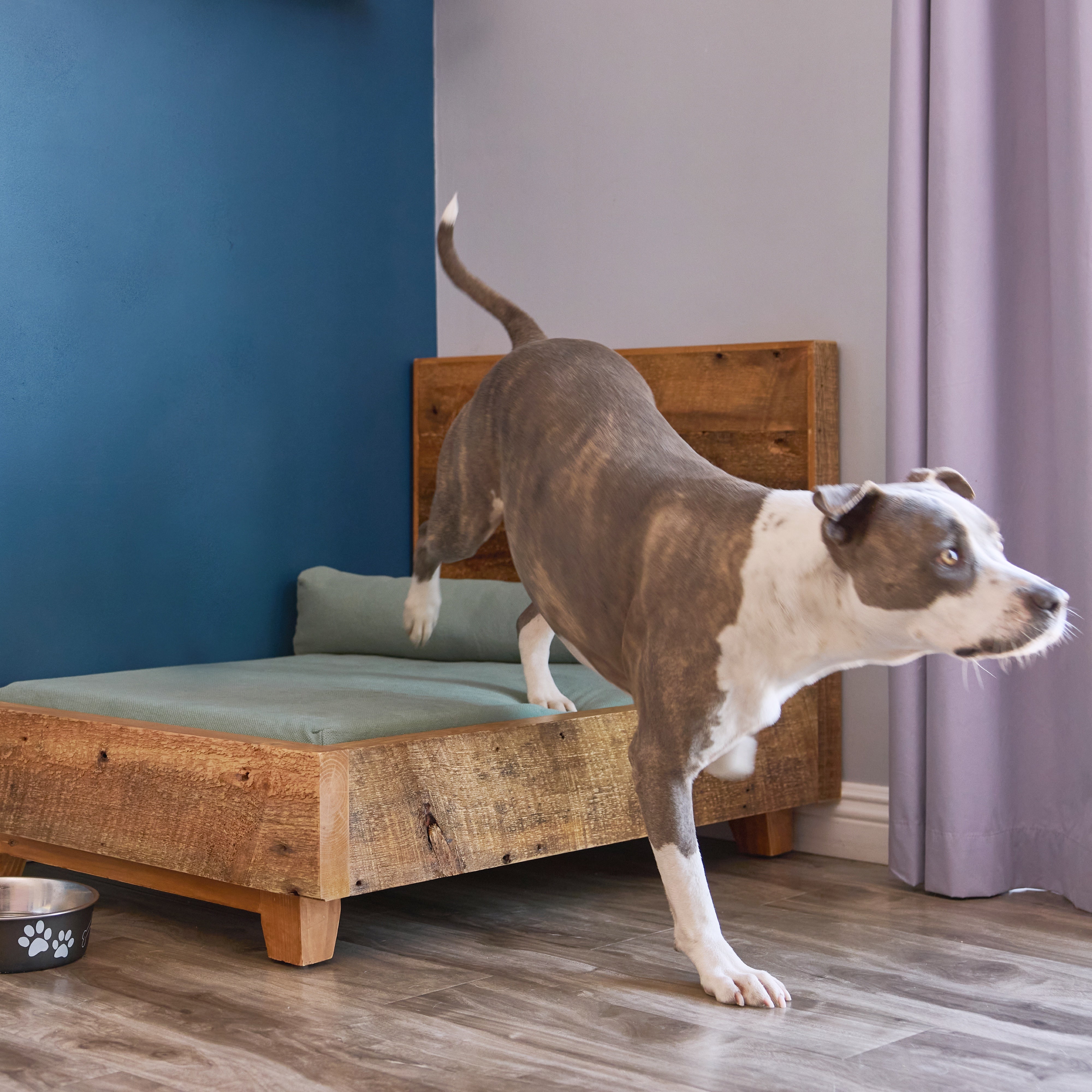 Premium Elevated Dog Bed Frame - Orthopedic Support for Large & Small Dogs - Indoor & Outdoor Use - Perfect for Kennels, Crates, and Home Comfort