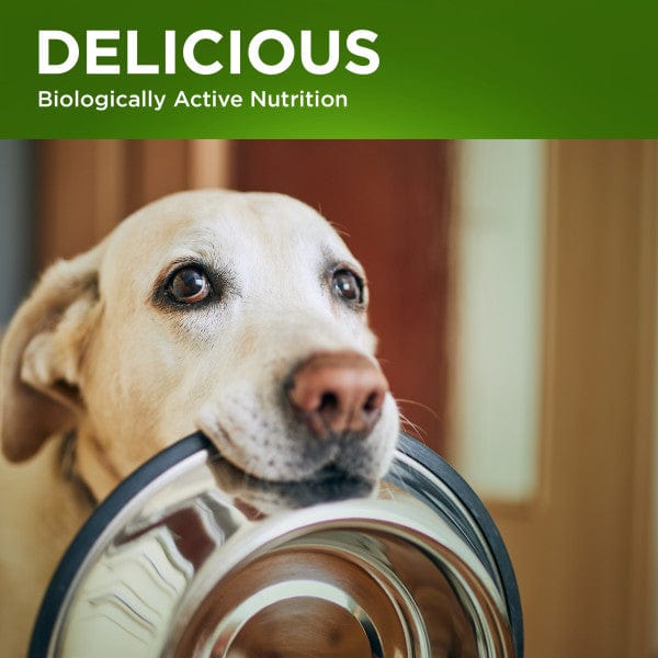 Fruitables Switch Food Transition Supplement for Dogs & Cats - Easy Digestive Support for Pet Diet Changes | Perfect for Switching Dog & Cat Food Brands