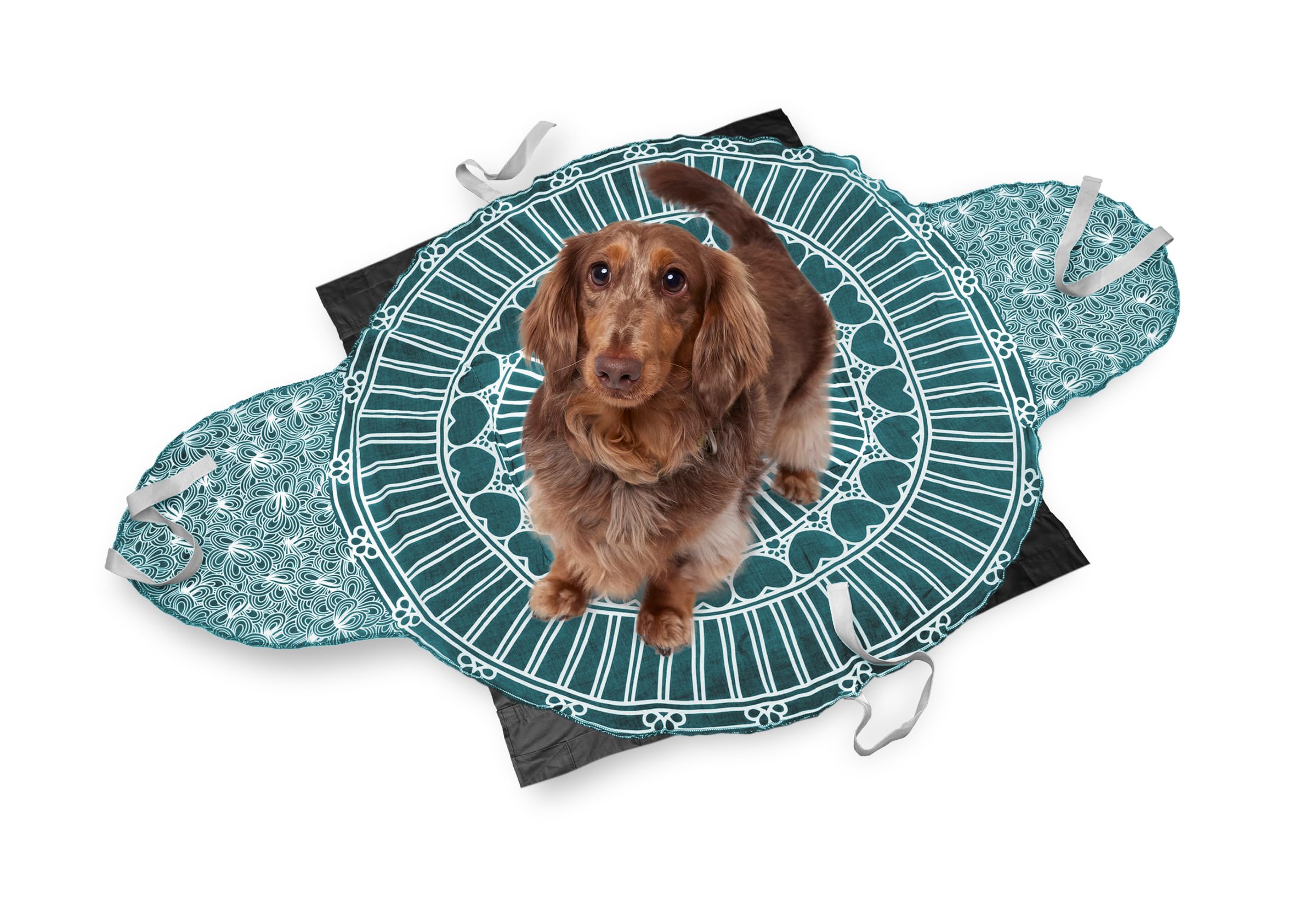 Eco-Friendly Pet Casket for Dogs Cats Rabbits Birds - Biodegradable Burial & Cremation Ceremony Kit - Classic Cotton Design - Small Size in Black/Teal Green - Perfect for Memorial Services & Pet Funerals