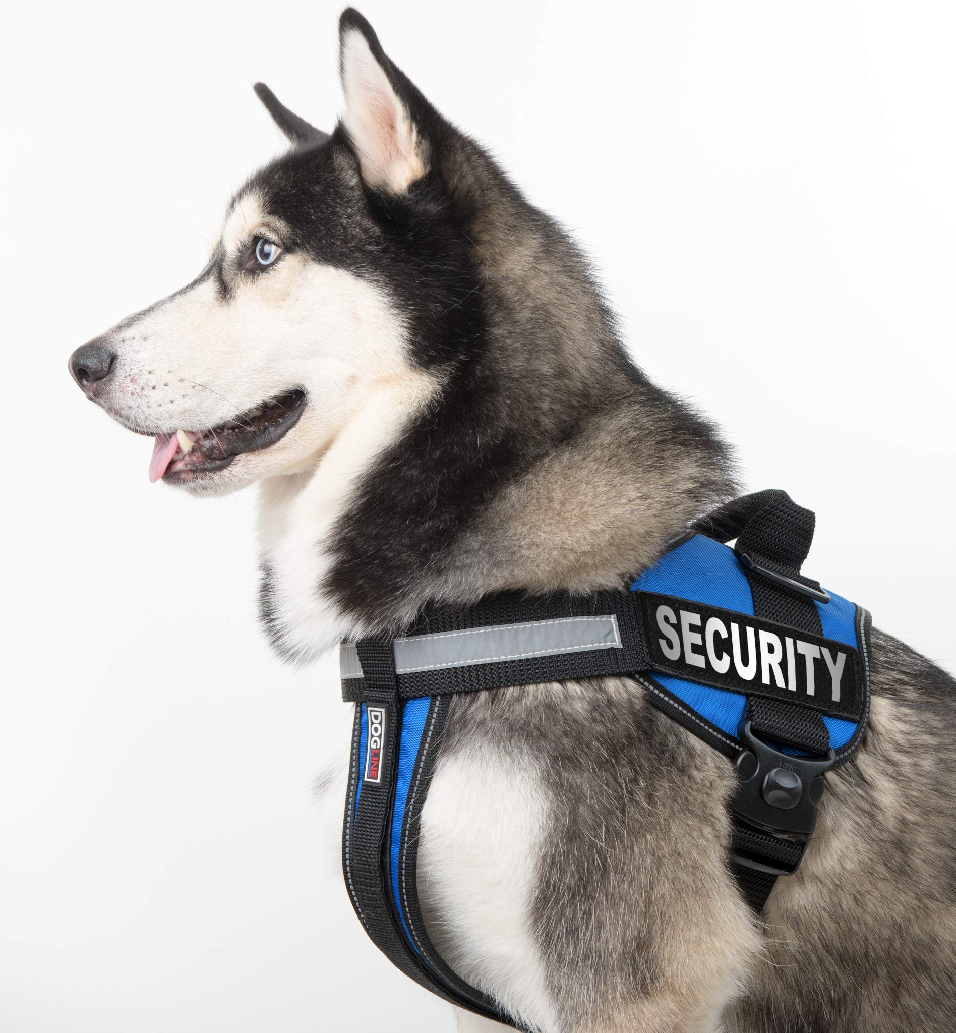 Dogline Security Removable VELCRO Patches - Small & Medium Size for Tactical Gear, Military Uniforms & Outdoor Activities