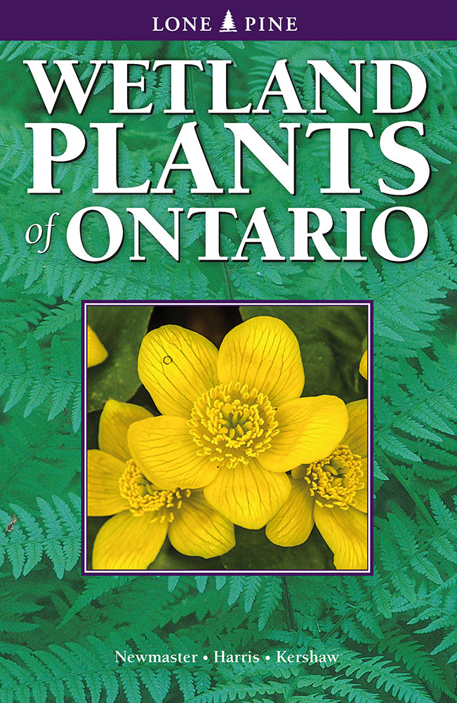 Lone Pine Wetland Plants of Ontario - Native Aquatic Plants for Ponds, Water Gardens & Natural Landscaping
