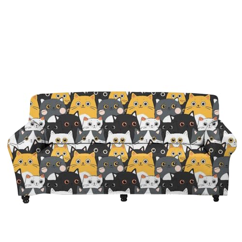 Cartoon Cat