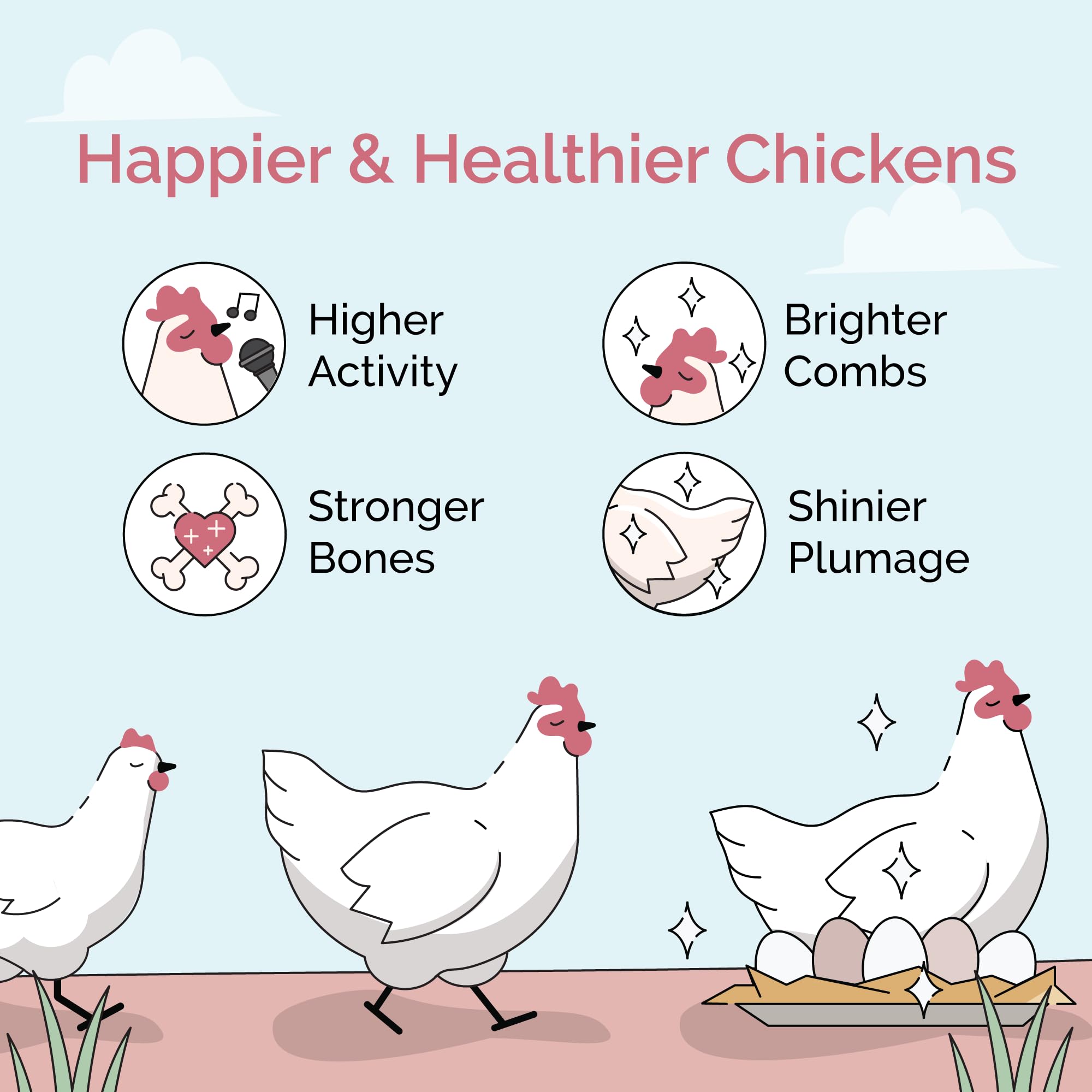 Organic Non-GMO Chicken Feed - USA Grown Layer Mash with 16% Protein, Corn-Free & Soy-Free, Non-Medicated Poultry Feed (46 lbs) - Perfect for Backyard Chickens, Egg Production & Healthy Flock Nutrition