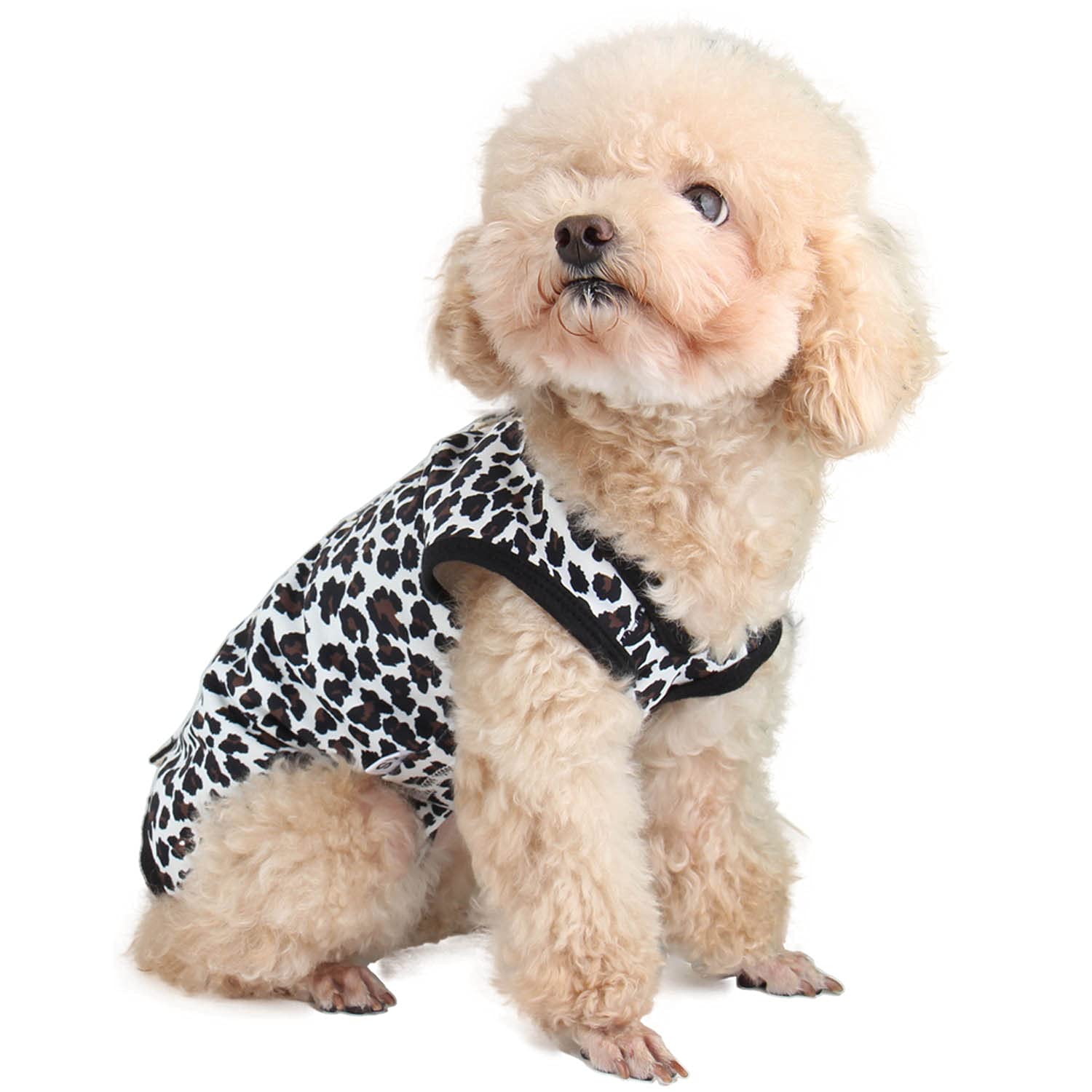 Female Dog Spay Recovery Suit - Post-Surgery Onesie for Small, Medium & X-Large Dogs | Soft Surgical Recovery Suit for Male & Female Pets | Leopard Print Design | Perfect for Post-Neuter Care & Wound Protection
