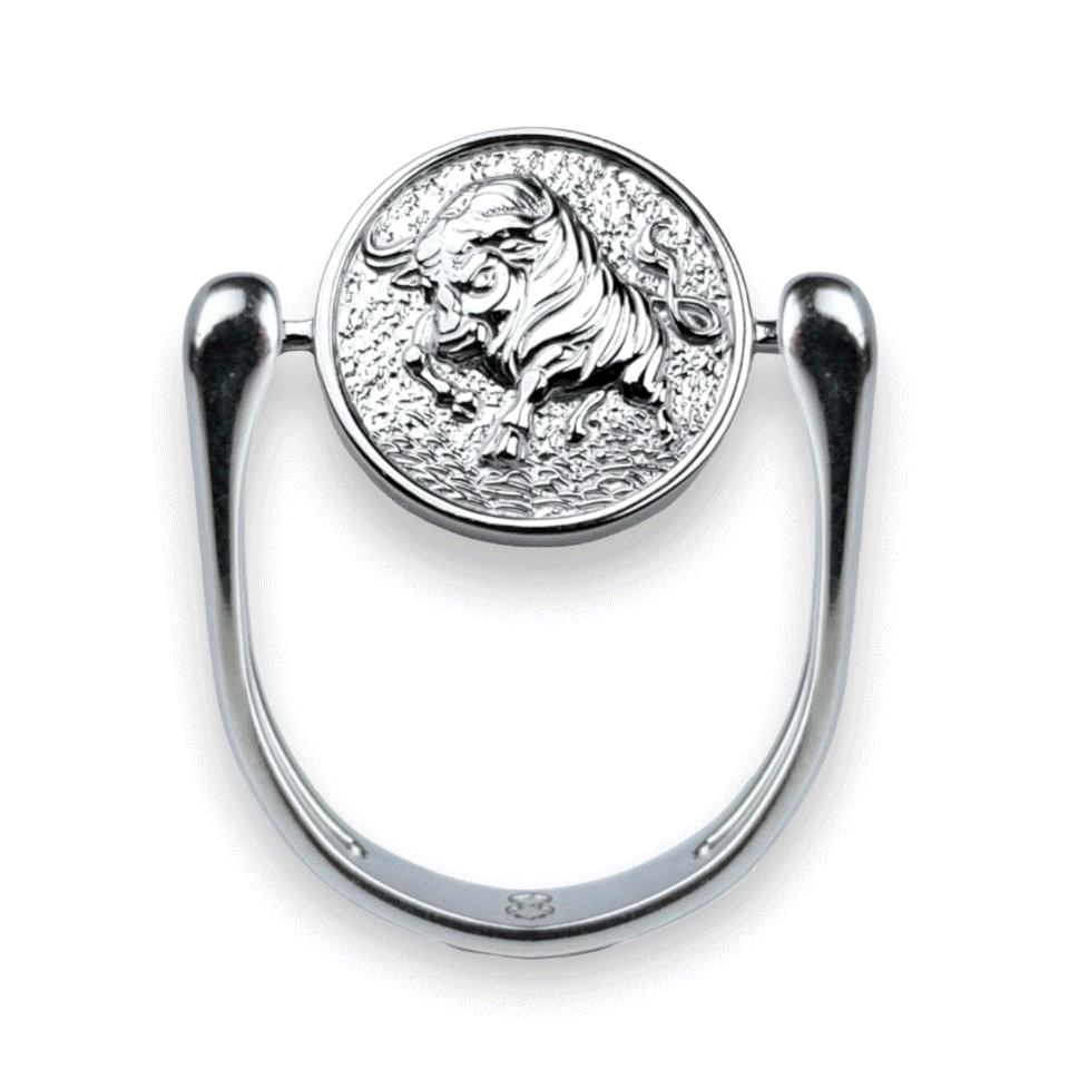 Stylish Silver Zodiac Fidget Ring for Anxiety Relief - Perfect for Stress Relief, Focus & Meditation | Astrology Jewelry Gift for Women & Men