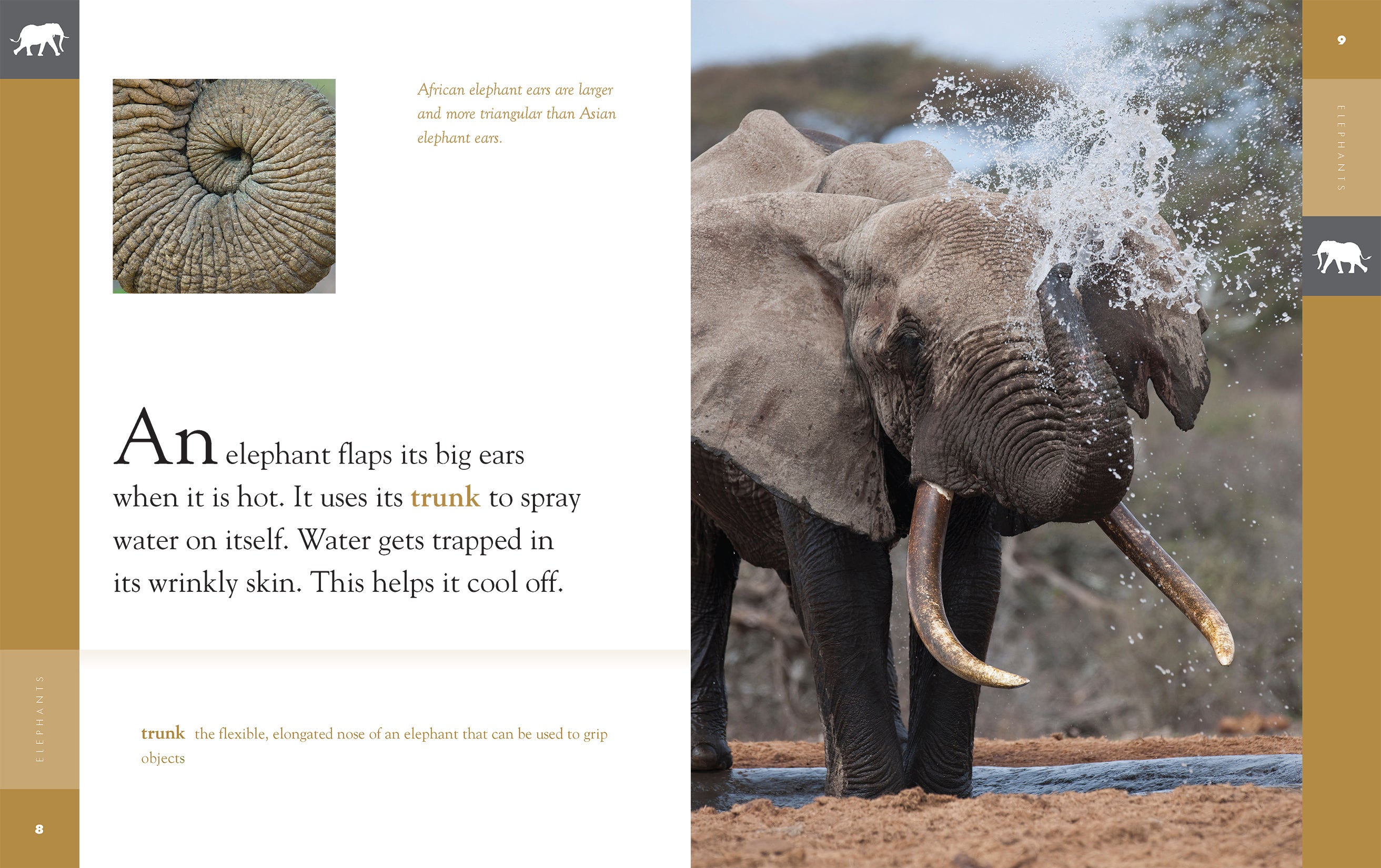 Elephants Book 9781640263802 - Wildlife Education & Animal Facts for Kids, Perfect for School Projects & Nature Lovers