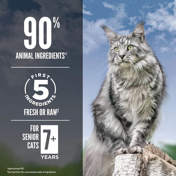 Orijen Guardian 8 Senior Cat Dry Food - Premium Grain-Free Formula for Mature Cats (11+ Years) | Supports Joint Health & Digestion | Ideal for Indoor Senior Cats & Weight Management