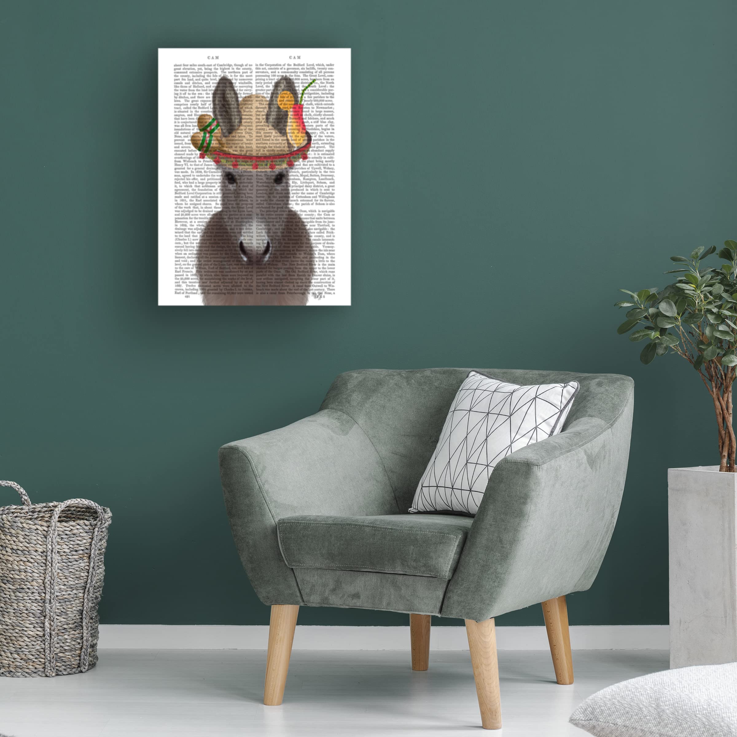 Trademark Fine Art 'Donkey Sombrero Book Print' Canvas Wall Art by Fab Funky - Perfect for Home Decor, Office & Gift Giving