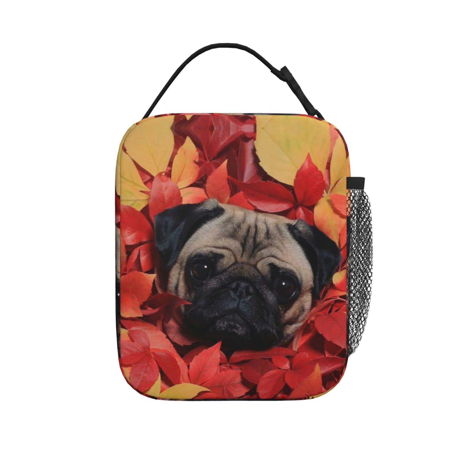 Insulated Reusable Lunch Box Cooler Bag for Kids & Adults - Cute Pug Dog Design | Perfect for School, Work, Picnics & Outdoor Activities