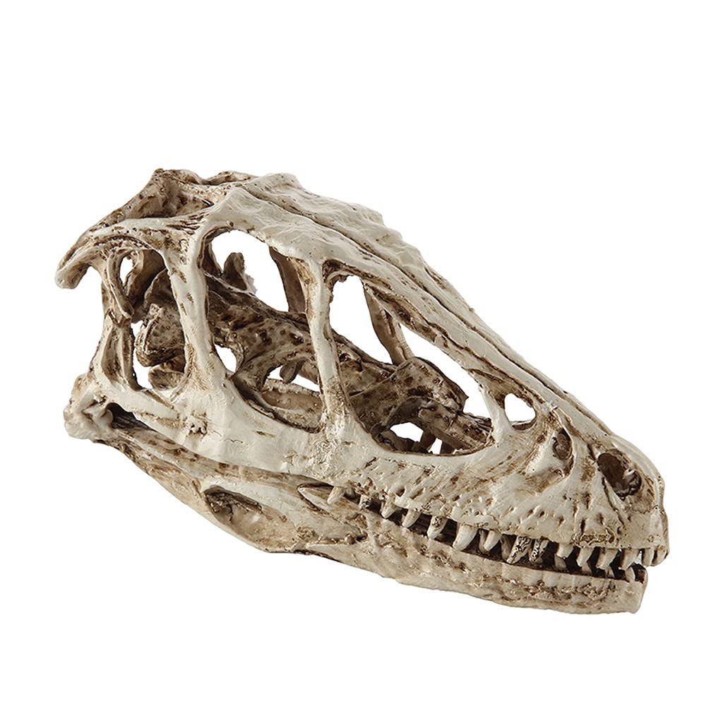 Milageto Dinosaur Skull Decor - Realistic Resin Dinosaur Skull Model for Aquarium, Reptile Terrarium, Fish Tank Decoration - Perfect for Jurassic Theme Home Decor & Halloween Party Props