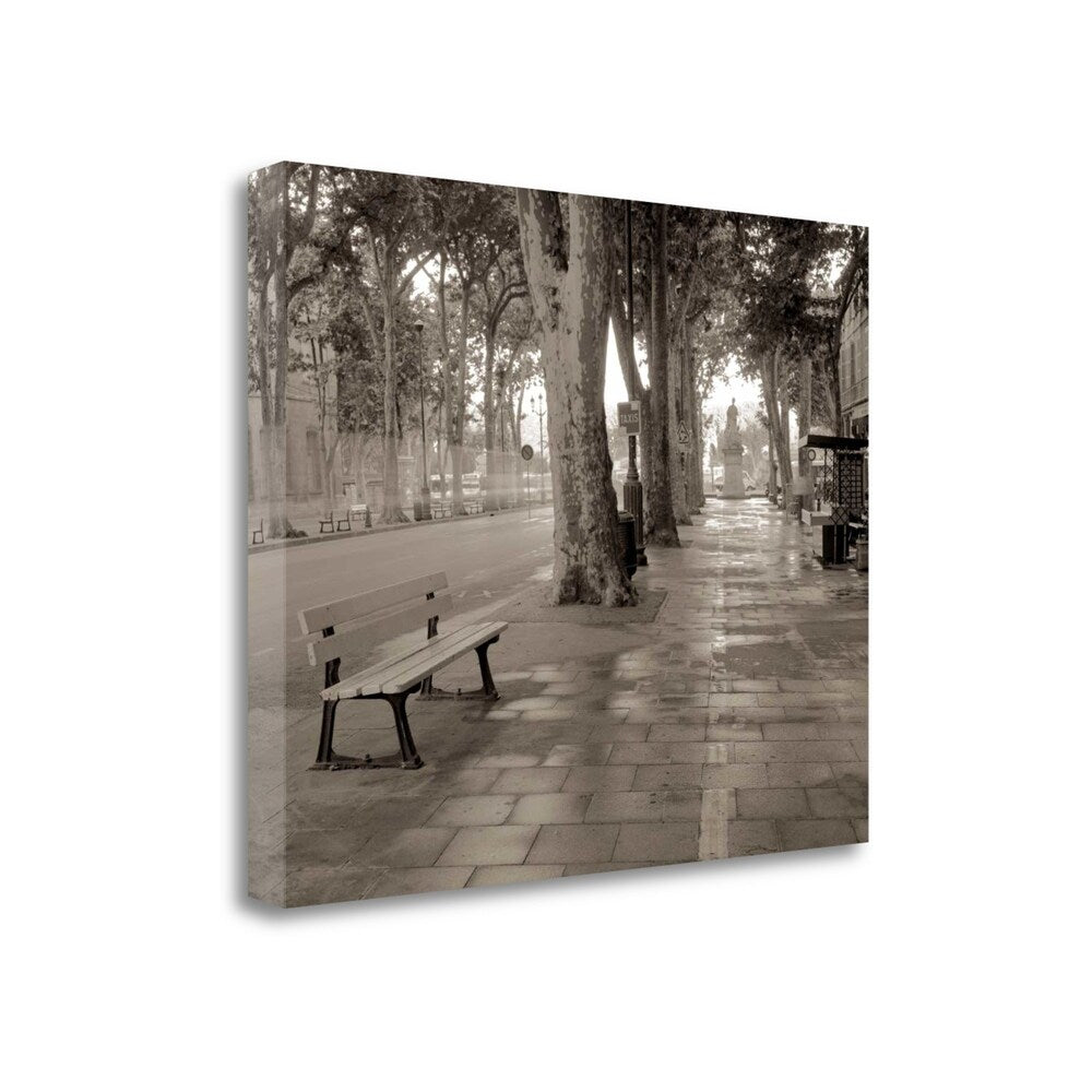 Alan Blaustein 45 Garden Bench Giclee Print on Gallery Wrap Canvas - Perfect for Home Decor, Living Room Wall Art & Office Decorations
