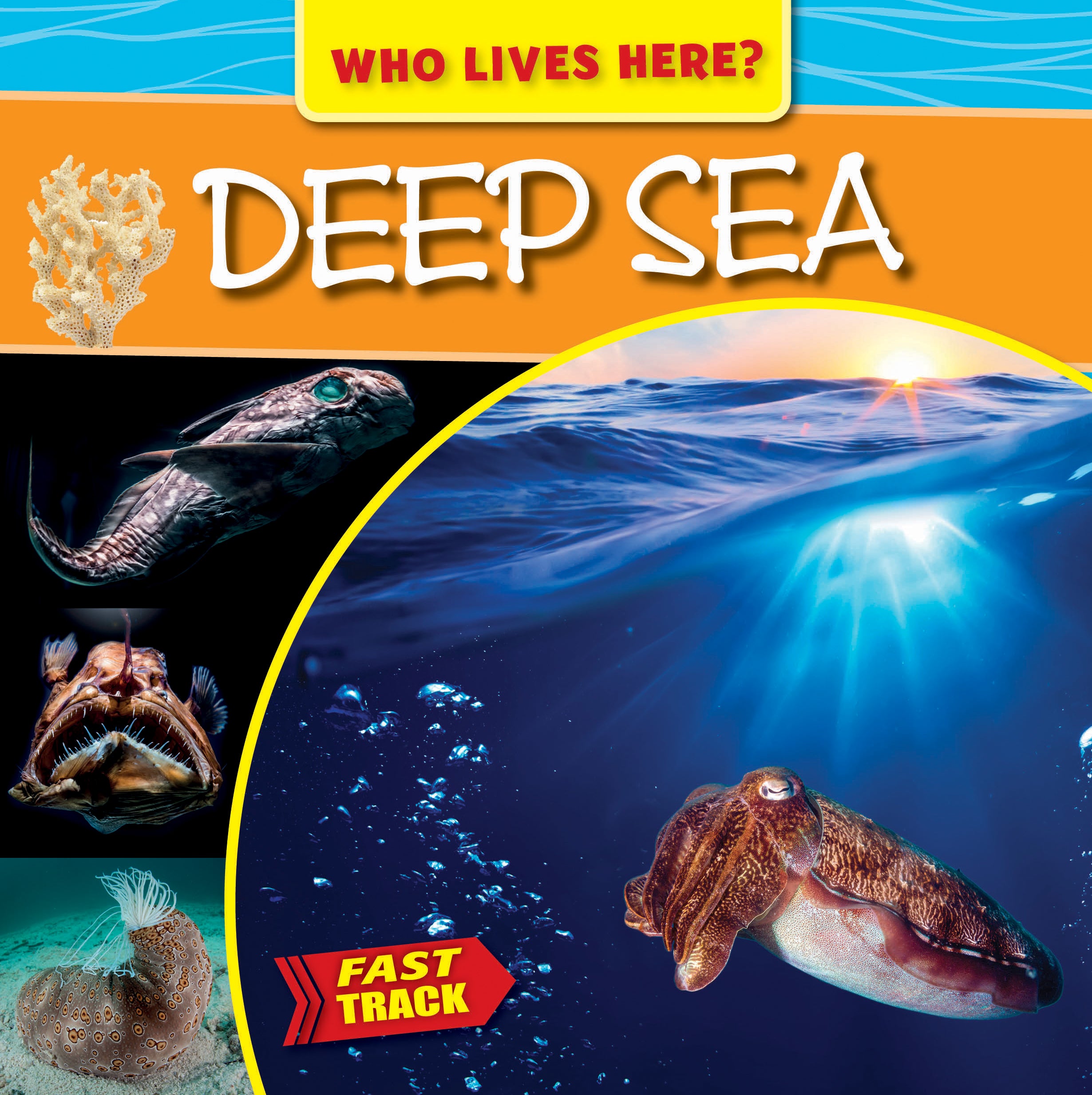 Deep Sea Creatures - Who Lives Here? Explore Ocean Life for Kids & Marine Enthusiasts | Perfect for Educational Play & Aquarium Visits