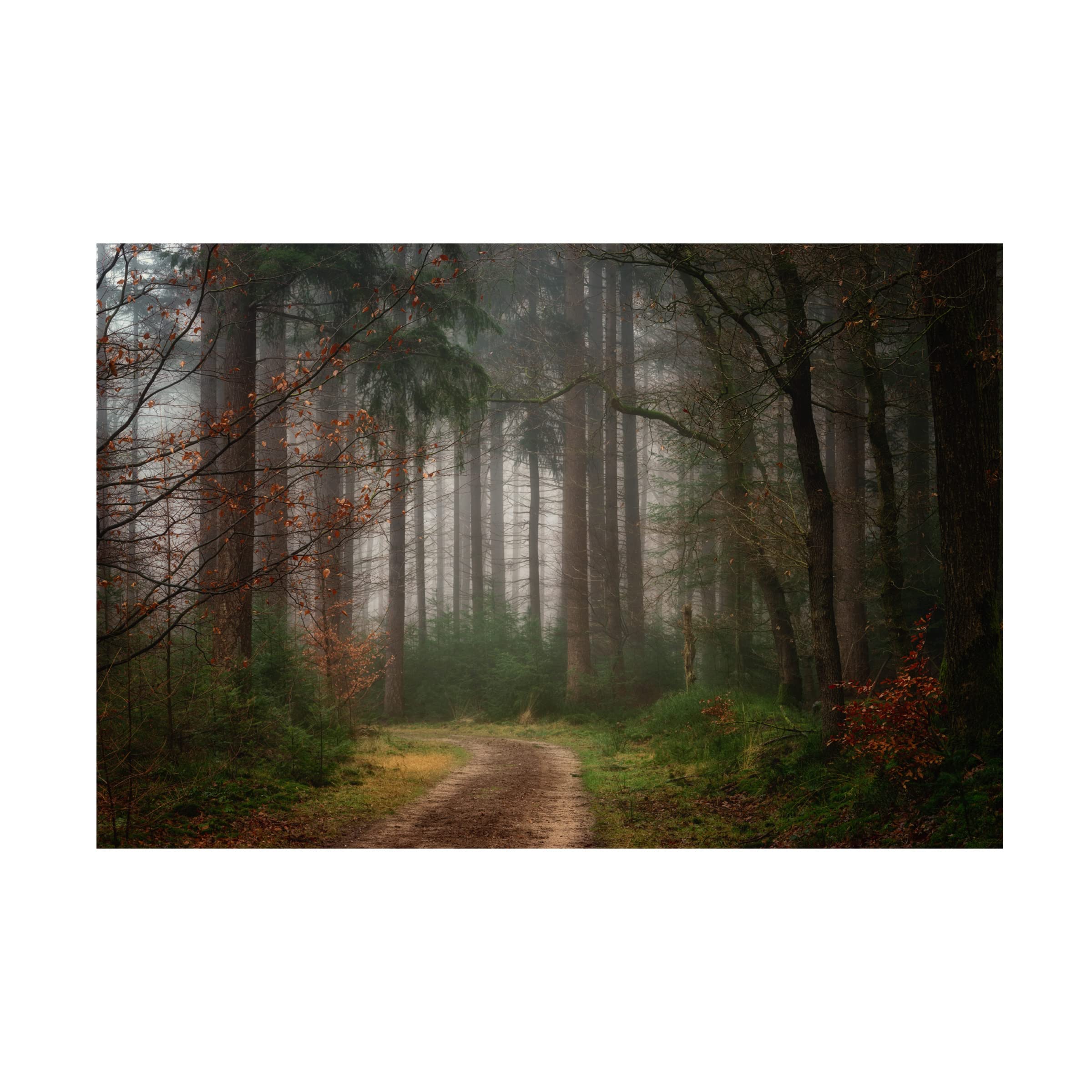 Trademark Fine Art 'Reveries' Canvas Wall Art by Ellen Borggreve - Nature Landscape Painting for Living Room & Bedroom Decor