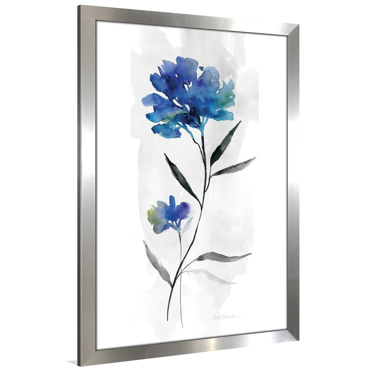 Beautiful Blue II by Carol Robinson - Acrylic Wall Art Print - Modern Home & Office Decor for Living Room, Bedroom, or Workspace