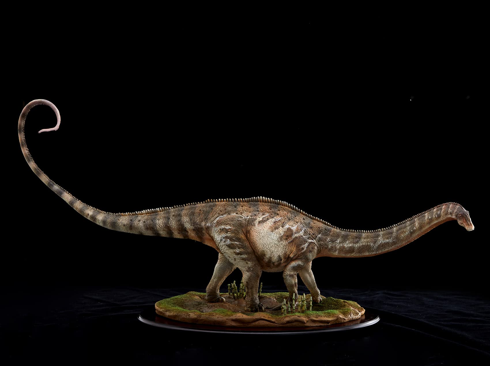 Lana Toys Mu See Studio 1/35 Diplodocus Carnegiei Dinosaur Model - Highly Detailed Resin Collector Statue, Diplodocidae Dinosaur Art Figure for Adult Collectors - Perfect for Home Decor, Office Display, and Dinosaur Enthusiast Gifts