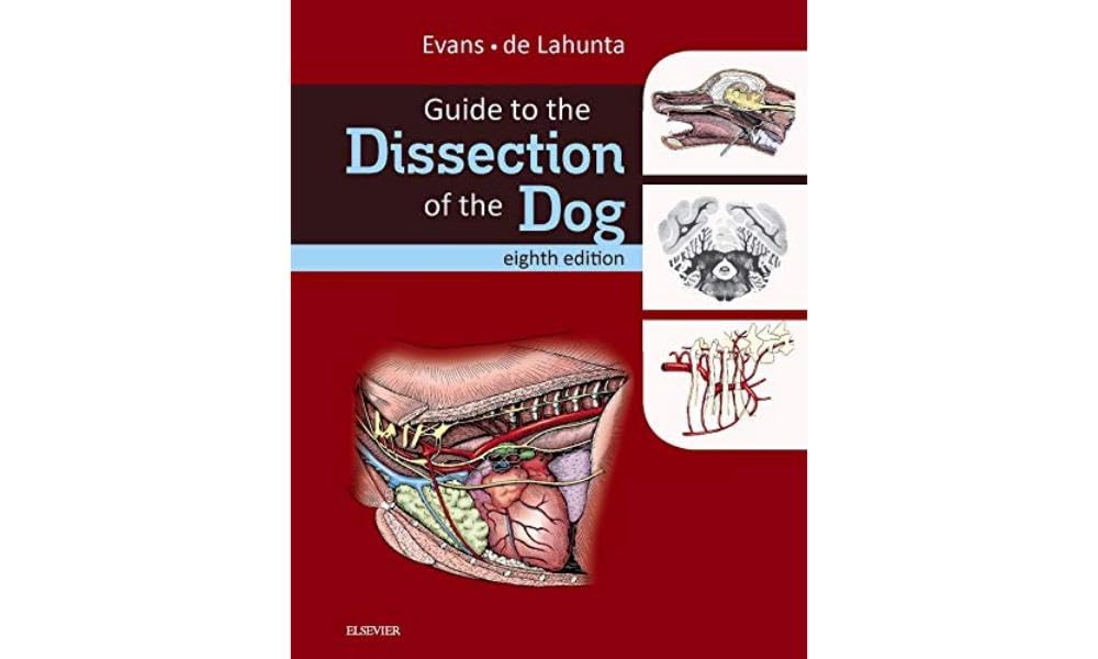 Dog Dissection Guide - Step-by-Step Veterinary Anatomy Manual for Students & Professionals | Perfect for Veterinary Studies & Lab Training
