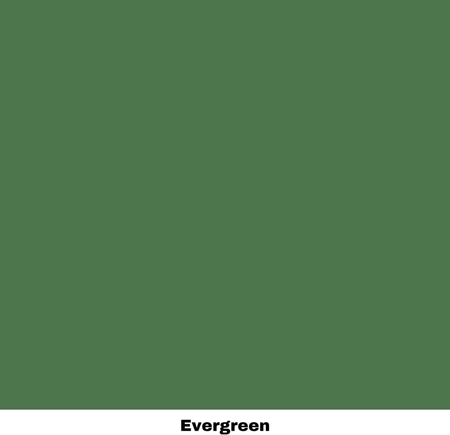 Dixie Belle Chalk Mineral Paint - Matte Bold Green Evergreen (32oz) | DIY Furniture Paint for Tables, Chairs & Cabinets | Eco-Friendly, Non-Toxic Chalk Finish Paint for Home Decor & Upcycling Projects
