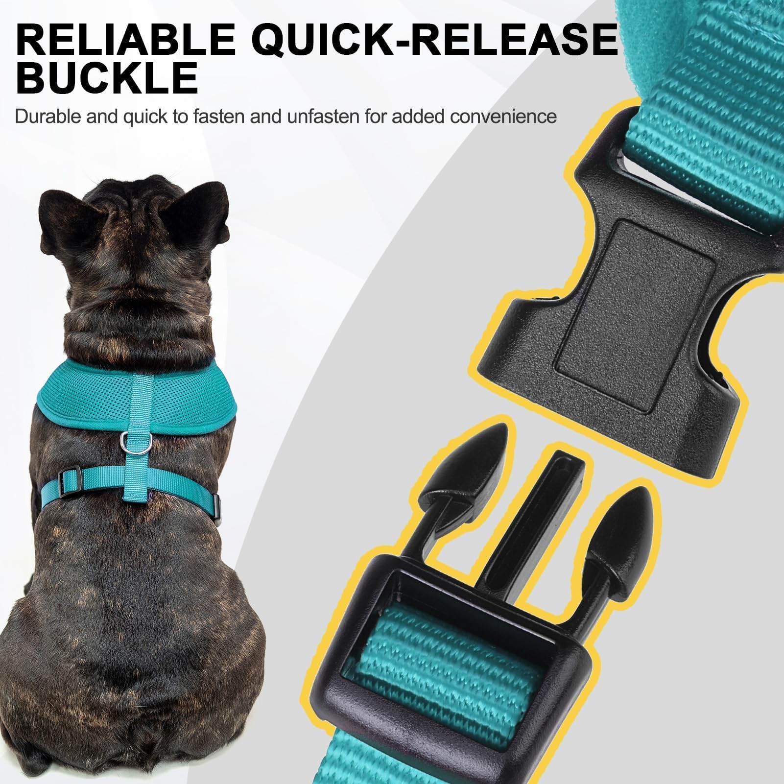BINGPET Small Dog Harness - Breathable Mesh No Pull Adjustable Vest for Puppies & Medium Dogs - Perfect for Walking, Training & Outdoor Adventures