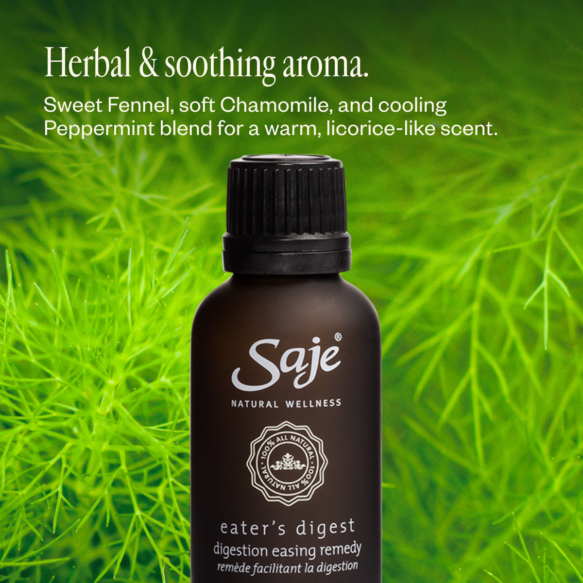 Eater's Digest Remedy Roll-On Refill - Natural Stomach Relief for Digestion & Bloating - Perfect for Travel, Work & Home Use