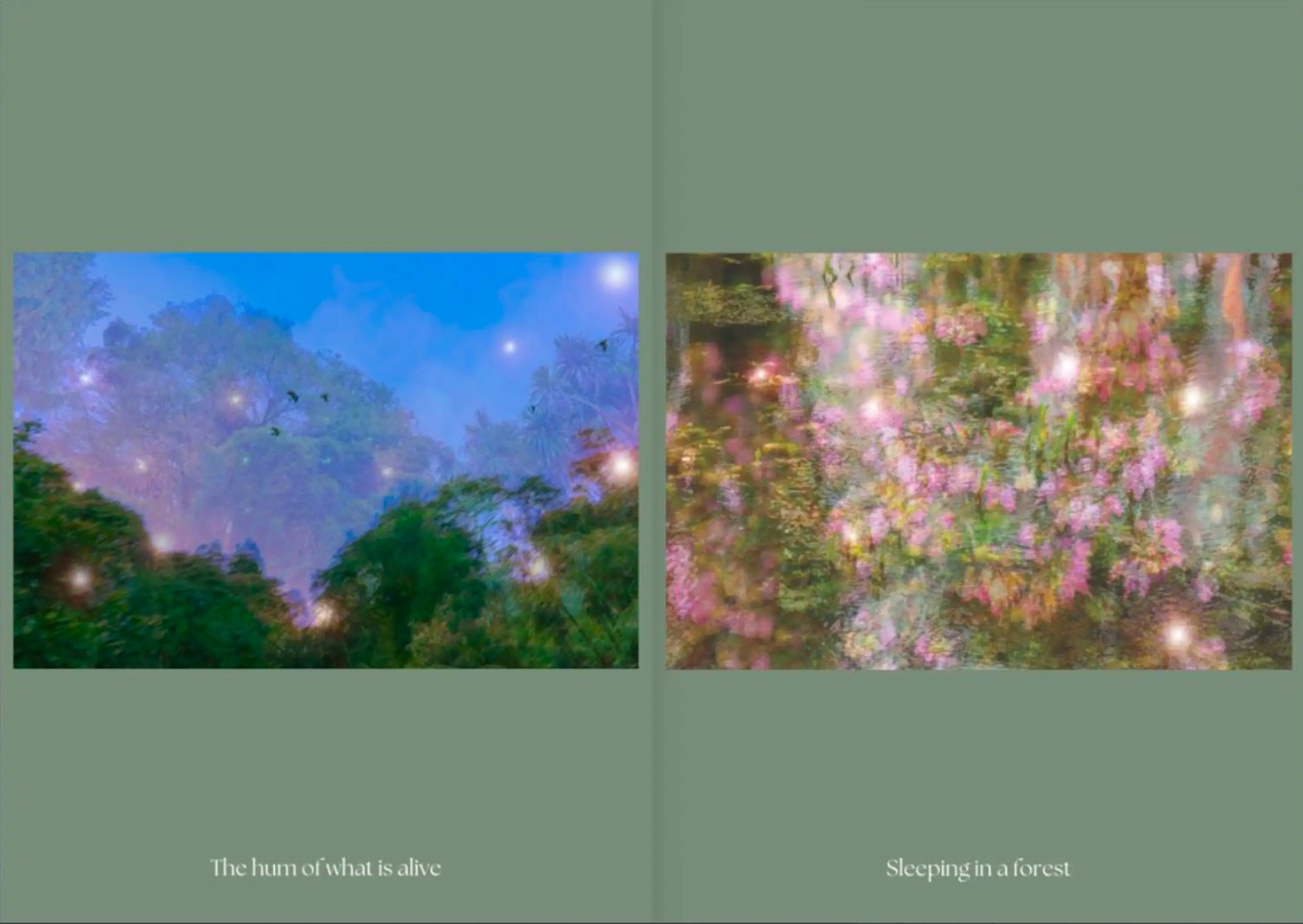 Sleeping in a Forest by Jennifer Reynolds - Nature Inspired Wall Art for Bedroom & Living Room Decor