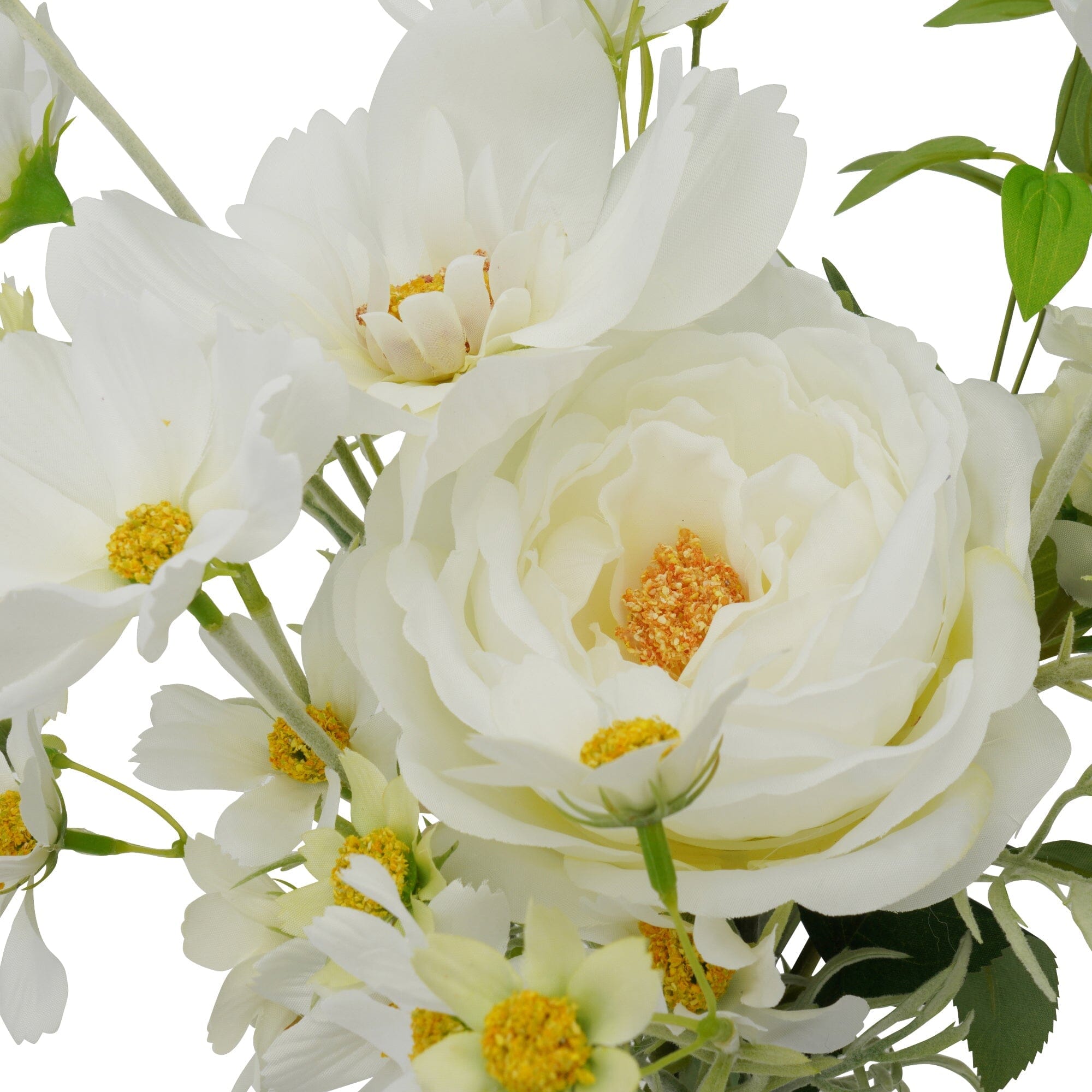 Bouquet Rose Cosmos Mix White - Fresh Cut Flowers for Weddings, Home Decor & Special Occasions