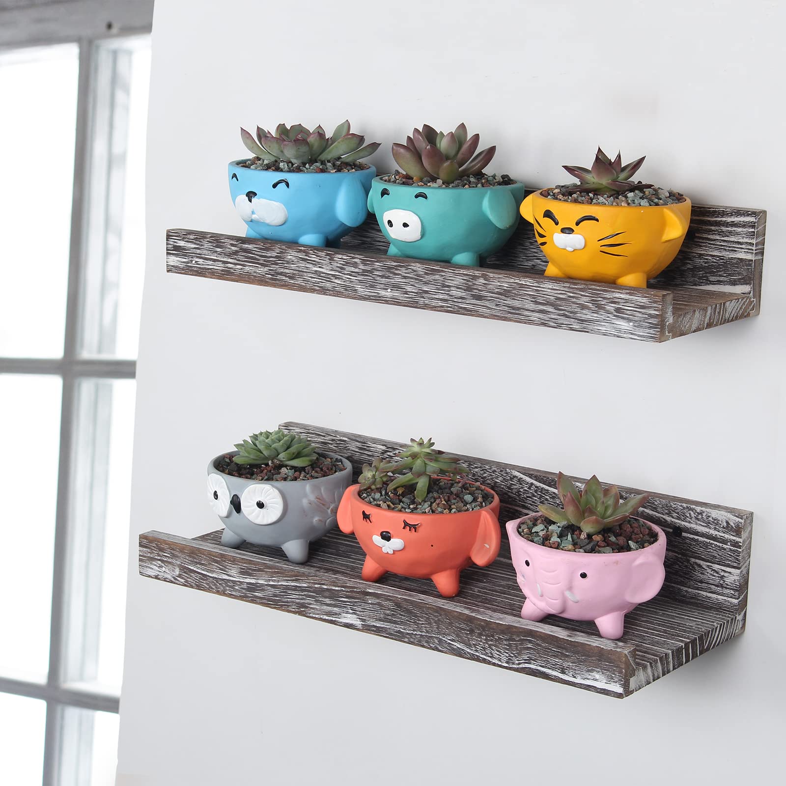 6 Pack 4 Inch Cute Animal Succulent Pots with Drainage - Owl & Cat Design Small Planters with Stands for Air Plants, Bonsai, Indoor Succulents | Perfect for Home Decor, Office Desk & Gift Giving
