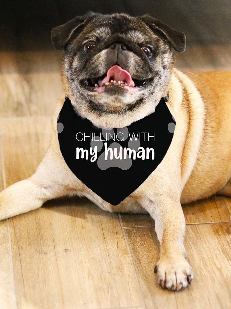 Chilling With My Human Pet Bandana - SmartPrintsInk for Dogs & Outings