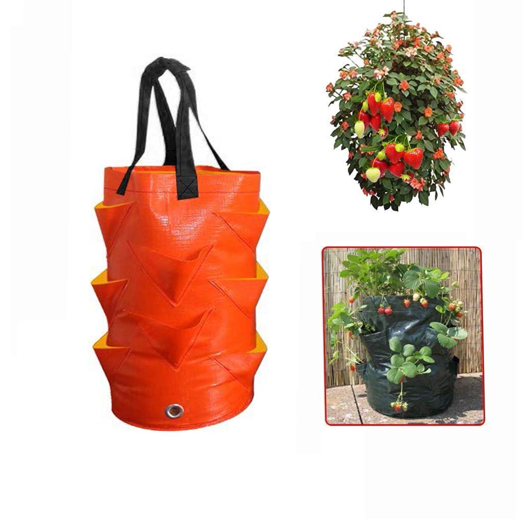 3 Gallon Strawberry Grow Bags - Durable Plastic Planters with Handles for Strawberries, Potatoes, Carrots & More | Foldable Multi-Mouth Design | Perfect for Home Gardening, Balcony Planting & Urban Farming