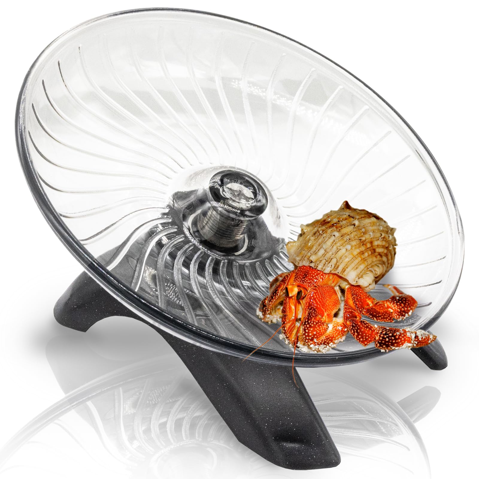 Silent Hermit Crab Exercise Wheel - Small Animal Running Wheel for Crab Tank, Hamster, Gerbil & Hedgehog Accessories - Perfect for Nocturnal Pets & Terrarium Enrichment