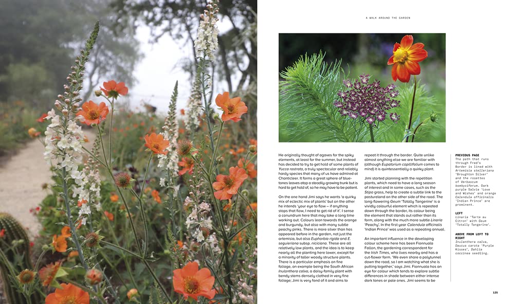 Beautiful Obsession: Jimi Blake's World of Plants at Hunting Brook Gardens - Gardening Inspiration & Rare Plant Collection for Home & Landscape Design